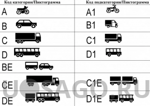 Что означает категория В1 в водительском удостоверении