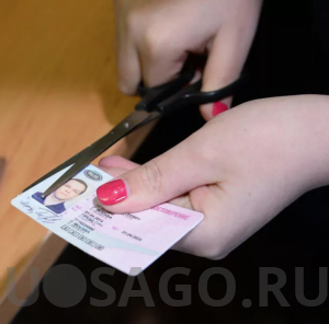 Что будет если не сдать права после лишения