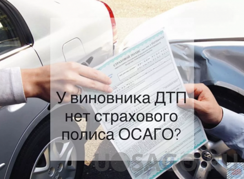 Особенности.Что делать, если виновник ДТП не вписан в ОСАГО