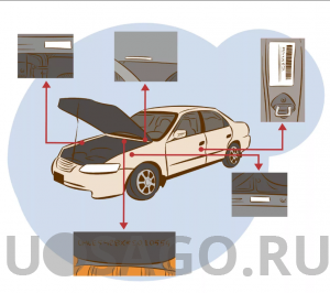 Как проверить автомобиль по VIN коду